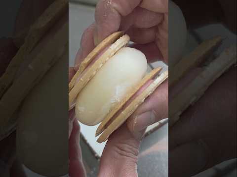 風呂上がりアイス最高ですか？#shorts