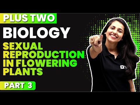 PLUS TWO BASIC BIOLOGY | CHAPTER 1 PART 3 | Sexual Reproduction in Flowering Plants | EXAM WINNER