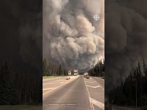 Les feux de forêt détruisent en partie Jasper