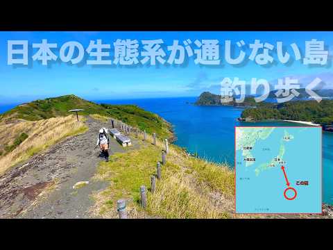 何が釣れる？日本なのに日本じゃない異世界の島を妻と共に釣り歩いてみた