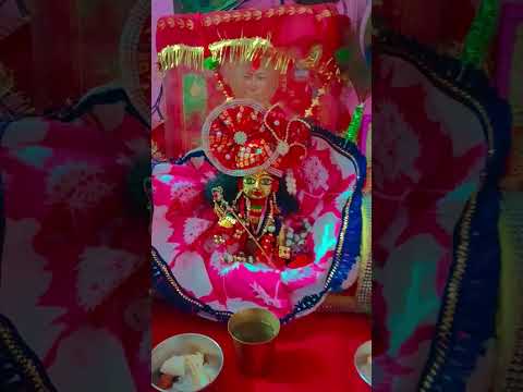 कान्हा कान्हा बोले..... #mereladdugopal#sorts