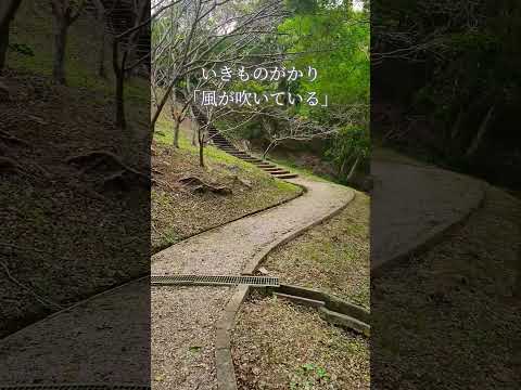 滝頭公園を散歩してます。この動画を見ながらいきものがかりさんの風が吹いているを聴いてください。#いきものがかり #風が吹いている#散歩 #滝頭公園 #自然 #風景 #景色