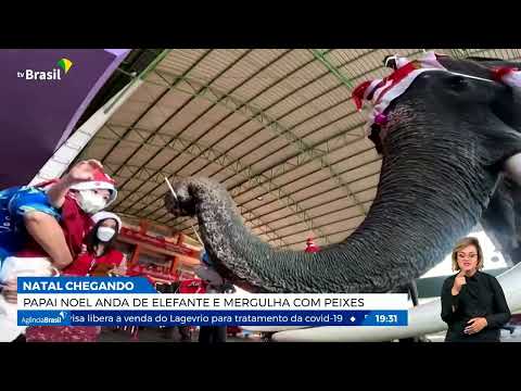 Papai Noel anda de elefante e mergulha com peixes
