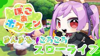 【作業】のんびり整地＆環境ランク上げ～！メインは夜やるよ🌼 / ぽこ あ ポケモン