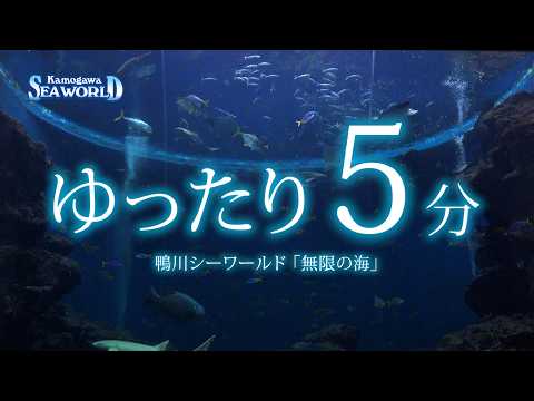 【鴨川シーワールド】ゆったり「無限の海」5分