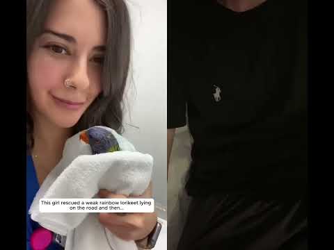 #birds #parrot #pets #love #animals #sweet #family #youtubeshorts #cute #beautiful #baby #tiktok #fe