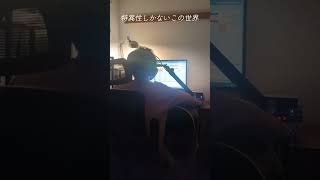「no need for crown」跳亜
