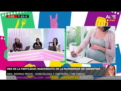 Mes de la fertilidad: radiografía de la maternidad en Argentina