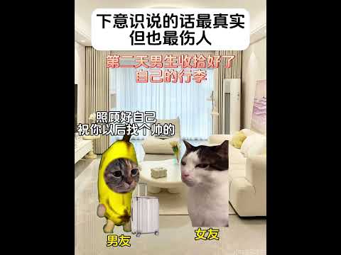 猫の動画サムネイル - 下意识说的话，最真实，到也最伤人#有趣 #猫meme #猫meme剧场 #猫meme小剧场 #内容过于真实  #故事 #貓 #猫猫meme小剧场 #喵不可言