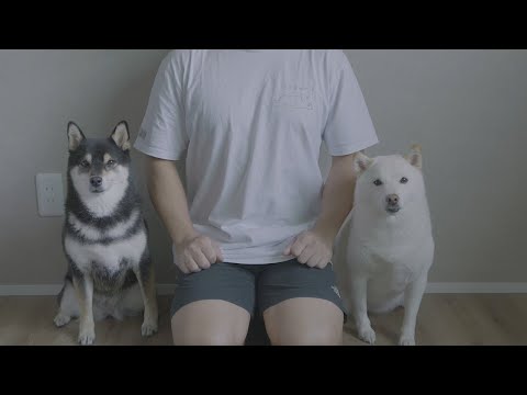 【ご報告】これまで応援してくださった皆様へ。