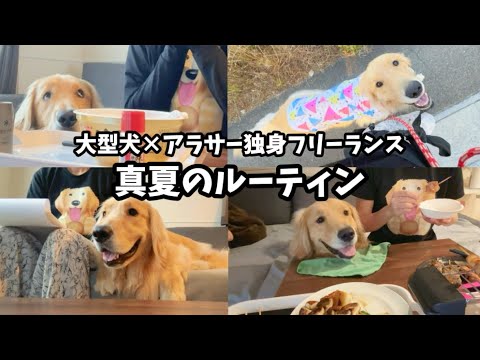大型犬と過ごす夏の日常ルーティン：アラサー女性の一日紹介 サムネイル