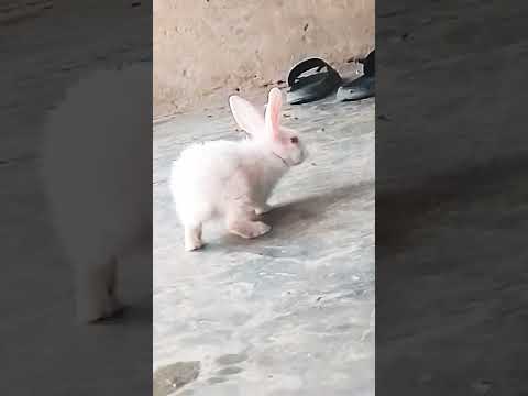 #bhojpuri गम #sadsong #sad #song #newsong #😇