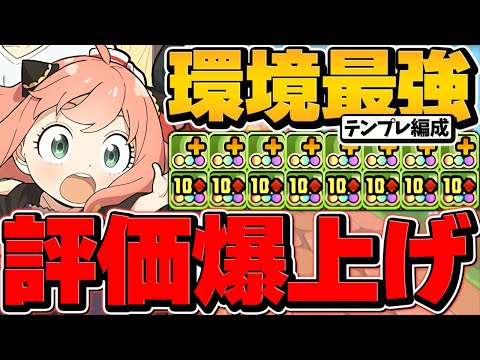 フォージャー家に強サブ誕生！SPY×FAMILYの評価上昇中！ストファイ入り最新テンプレ使ってみた【パズドラ】