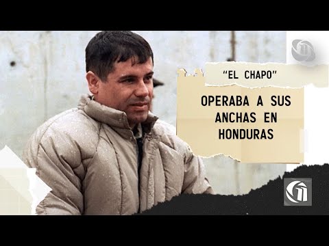 NARCO-PRESIDENTE  CAPÍTULO VIX  l El Chapo operaba a sus anchas en Honduras
