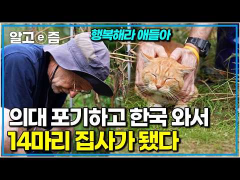 의사 포기하고 한국 와서 길고양이 14마리 집사 된 프랑스 신부님 이야기｜고양이를 부탁해｜알고e즘