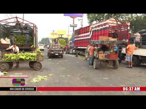 Mercado Dandy: Vendedores se preparan para distribuir productos en la zona norte