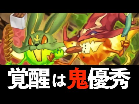 【速報】夏休みチャコルマドゥ武器は絶対確保？逆にみんなの評価を聞かせてくれ！【パズドラ】