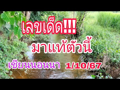 เลขเด็ดล่าสุด(เชียนนอนนา)