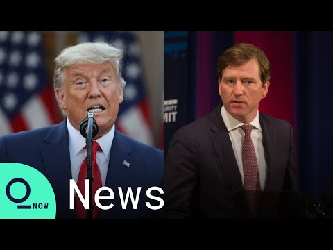 Trump Fires Top Election Security Official; Musk's New Wealth; Bitcoin Mania Returns: World Brief