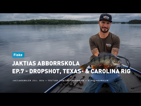 Jaktias abborrskola EP.7 - Dropshot Texas- & Carolina rig