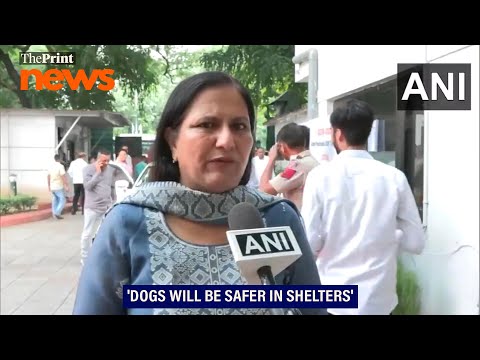 'SC will address dog's issues based on previous incidents': BJP's Kamaljeet Sehrawat