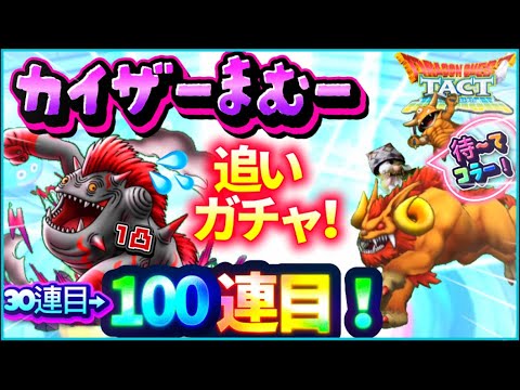 【ドラクエタクト】カイザーマムーの追いガチャ❗️俺、５周年ガチャ引けるのか❓