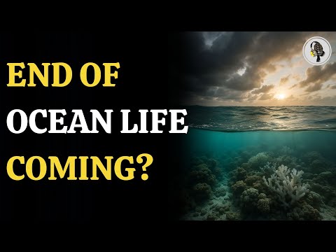 The Ocean’s Future: Hot, Acidic, and Almost Empty by 2100 | WION Podcast