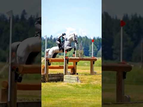 Think this is now my favorite edit of mine #roadto2k  #horse 