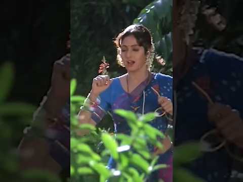 shridevi ka business plan 😂🤣 #trending #comedy #funny #shortfeed