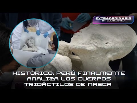 Histórico: Perú finalmente analiza los cuerpos Tridáctilos de Nasca