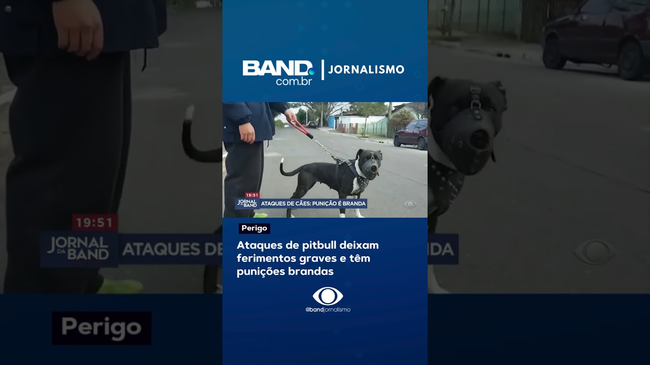 Ataques de pitbull deixam ferimentos graves e têm punições brandas