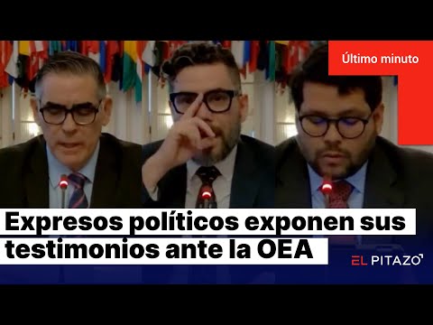 Expresos políticos ante la OEA: funcionarios nos golpeaban y torturaban hasta hacernos sangrar