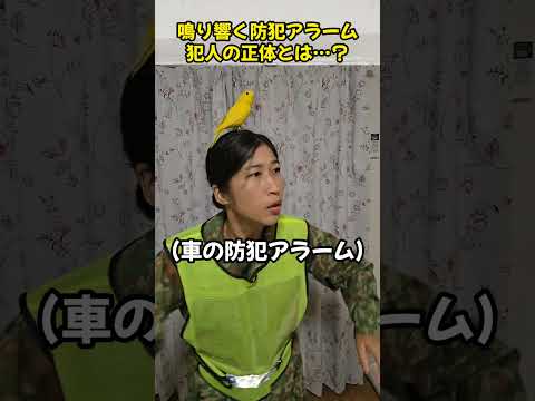 鳴り響くアラーム　犯人の正体とは？