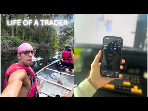 How I Made $1.2k Trading & Found 5 Alligators