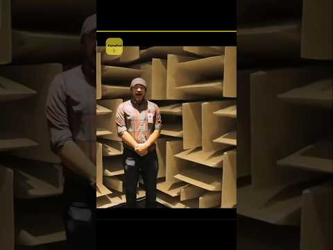 The Quietest Room 😱