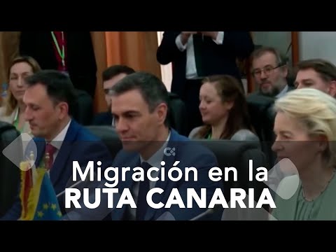 Migración en la ruta Canaria