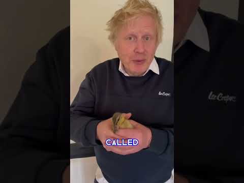 Boris Johnson tells the story of his three newborn ducklings