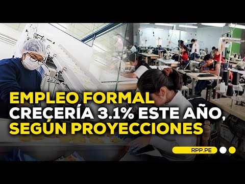 Empleo formal en el Perú crecería 3.1% para el 2024, por rebote del agro y pesca | Economía peruana