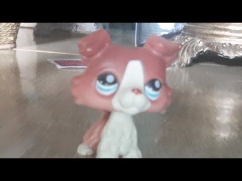Lps Thing -_-