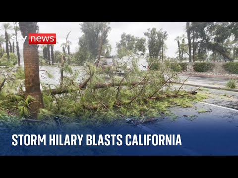 US: Storm and earthquake rock California