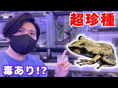 【衝撃】大人気種から超珍種まで！今までこんな『変わったカエル』見たことない...。