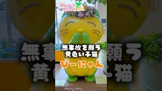 【千葉県千葉市】無事故を願うぴーにゃんと飯テロ #京葉道路幕張PA #ぴーにゃん #むじこねこ #ちばっことじょりん