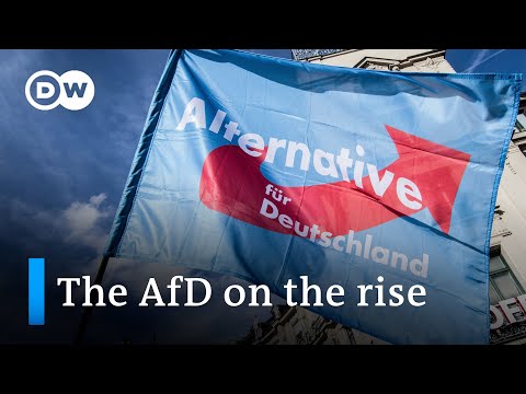 Far-right AfD expects significant gains in upcoming Bavarian election | DW News