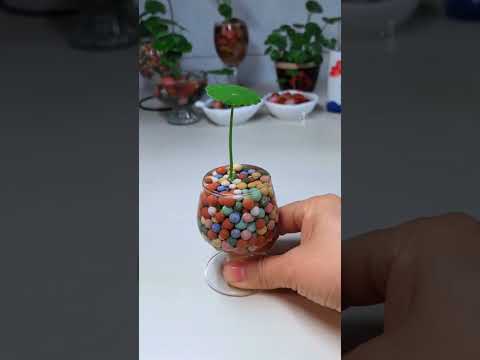 Landscape recycling cup water for plants flower #shorts #garden #flowers #2025 #amazing