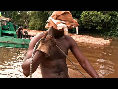 Gabon : Le bois maudit | Routes de l'impossible