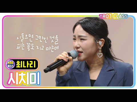 [최나리 - 시치미/금잔디] 능력자클라쓰 #트로트클라쓰 #trotclass #K_Music #trot