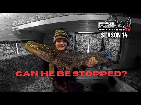 Lake Of The Woods Christmas Break Walleye Slam! Fish Addictions TV Season 14: Episode 2