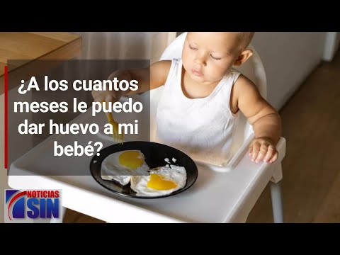 ¿A los cuantos meses le puedo dar huevo a mi bebé?