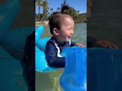 I took my kids swimming with dolphins and turtles in Hawaii 🐬 🐢 🤿