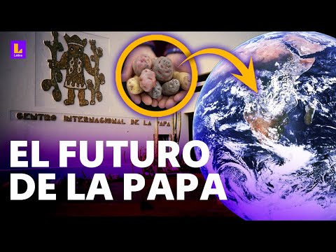 Este lugar resguarda el futuro de la papa: En 100 años vamos a tener el tubérculo
